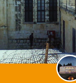 Alma in Jerusalem