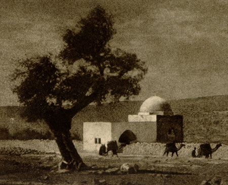 Alma in Jerusalem